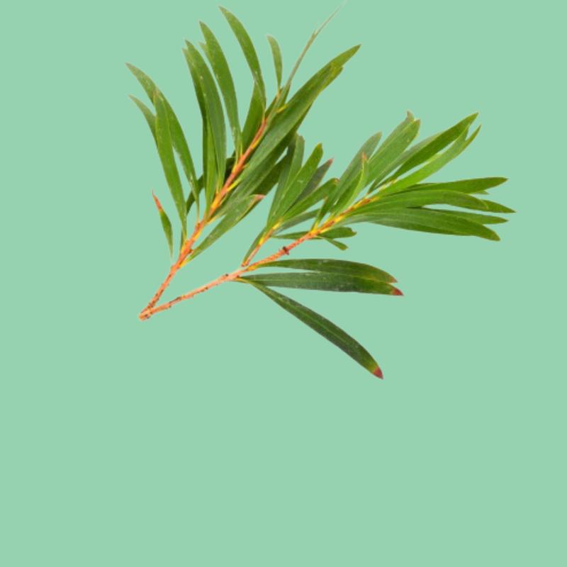 Prevent Future Breakouts