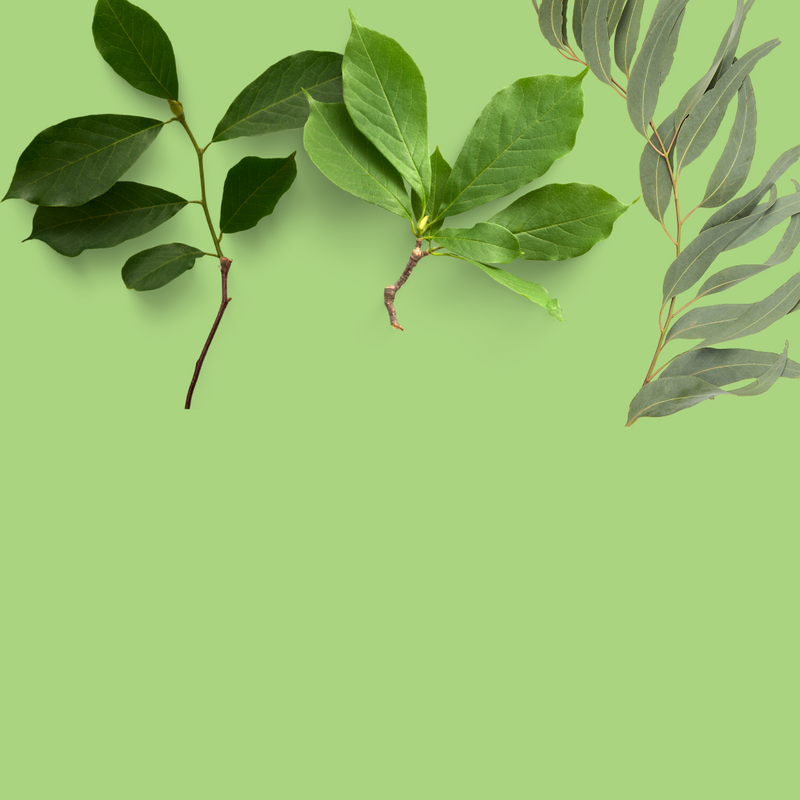 Free From Synthetic Dyes